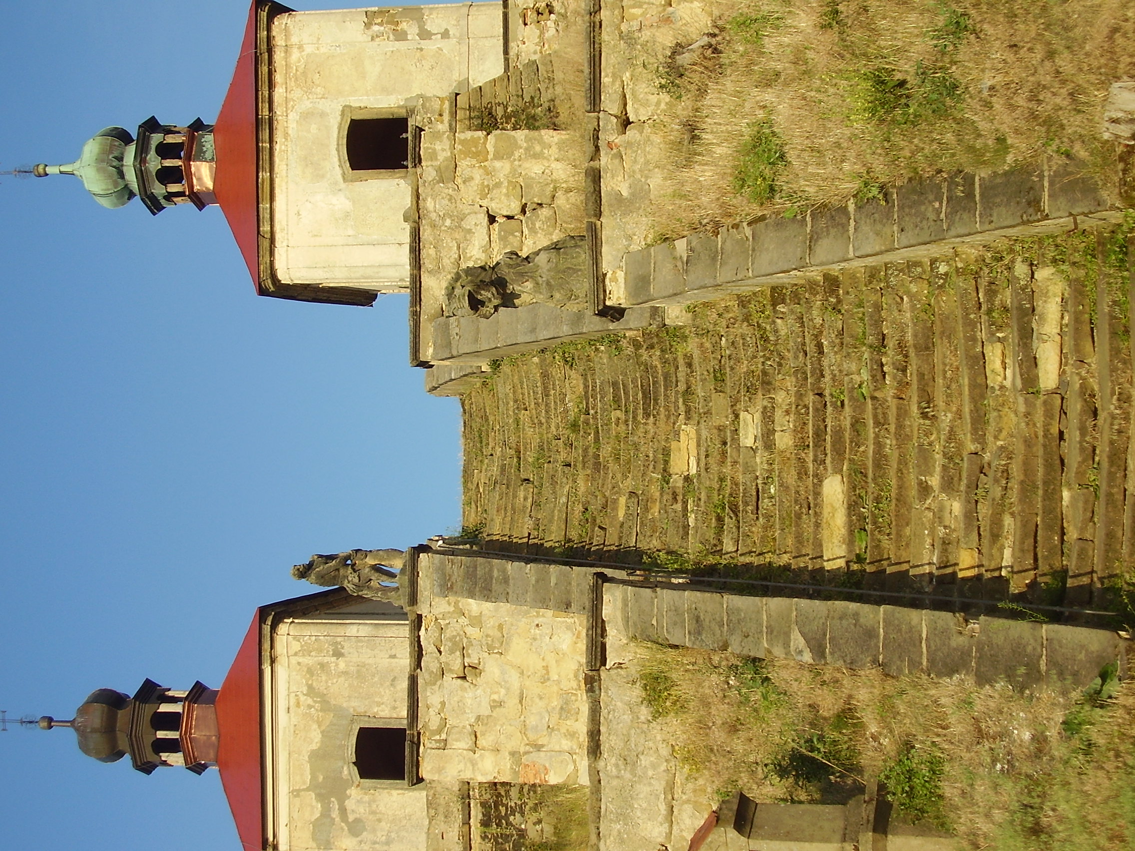 P8060017.JPG