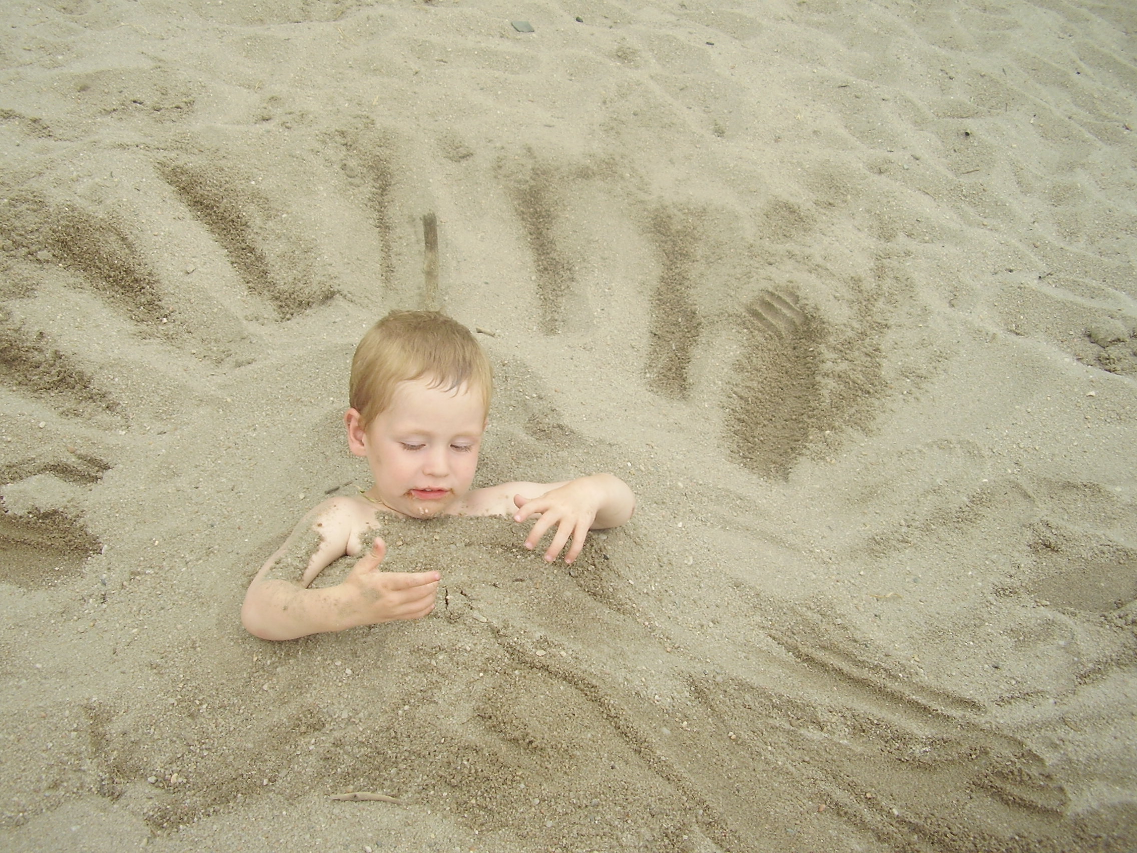 P8010186.JPG